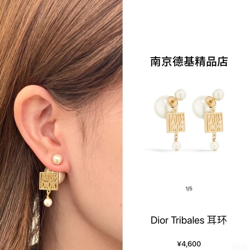 Christian Dior Earrings